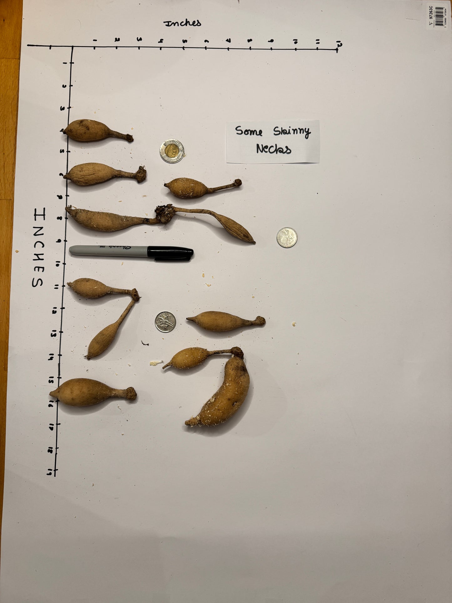 Hapet Old Charm - Tuber